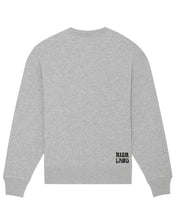Load image into Gallery viewer, Highland Co. 2023 Heather grey sweater - Two Birds
